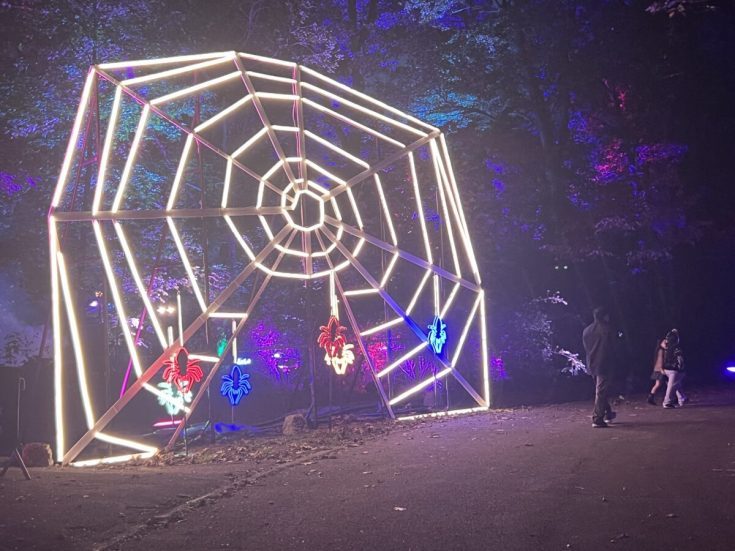 Spiderweb Spiderweb