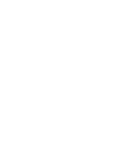 logo1