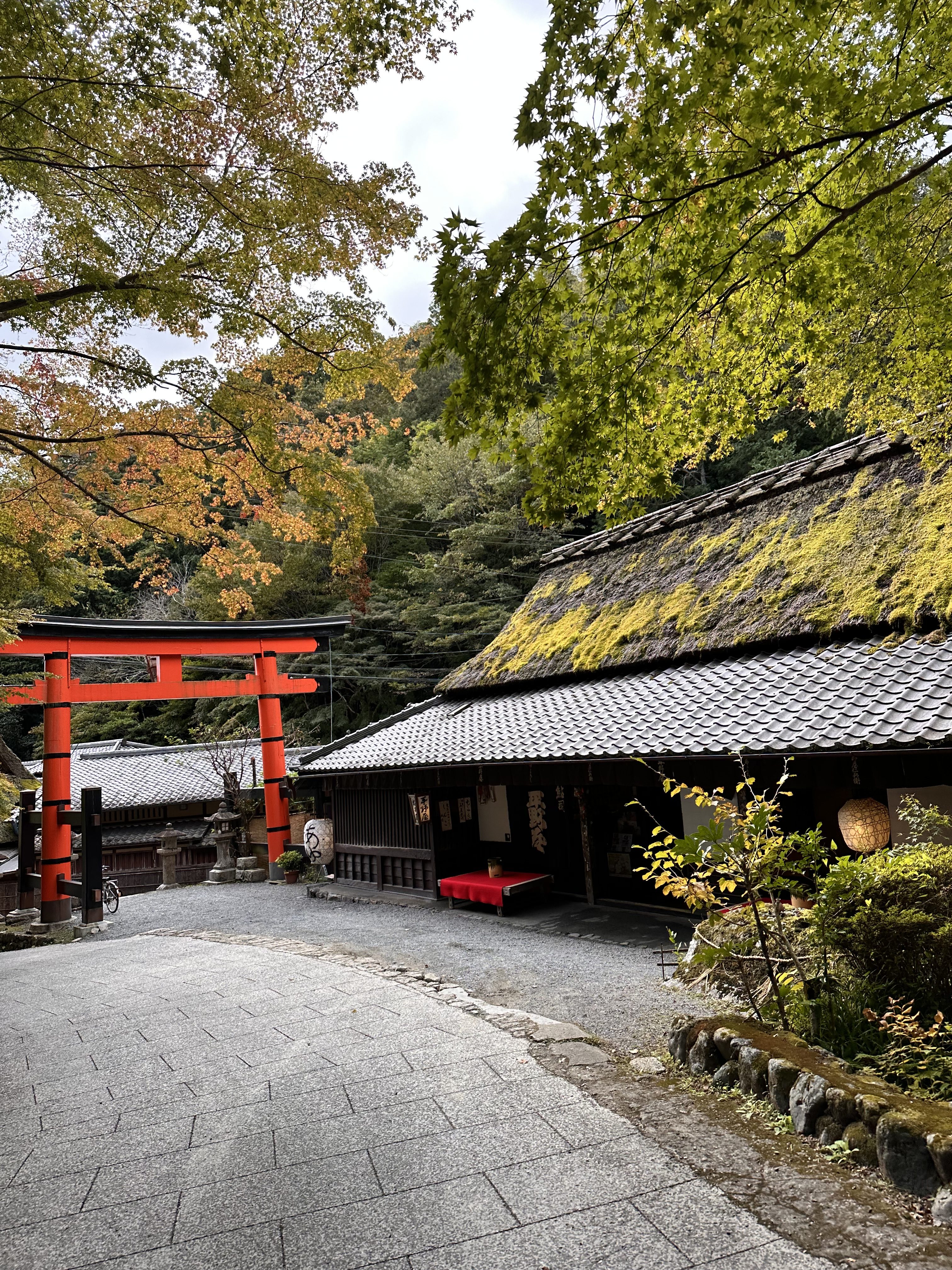 $35K Luxury Japan Trip for Less Than $1,200