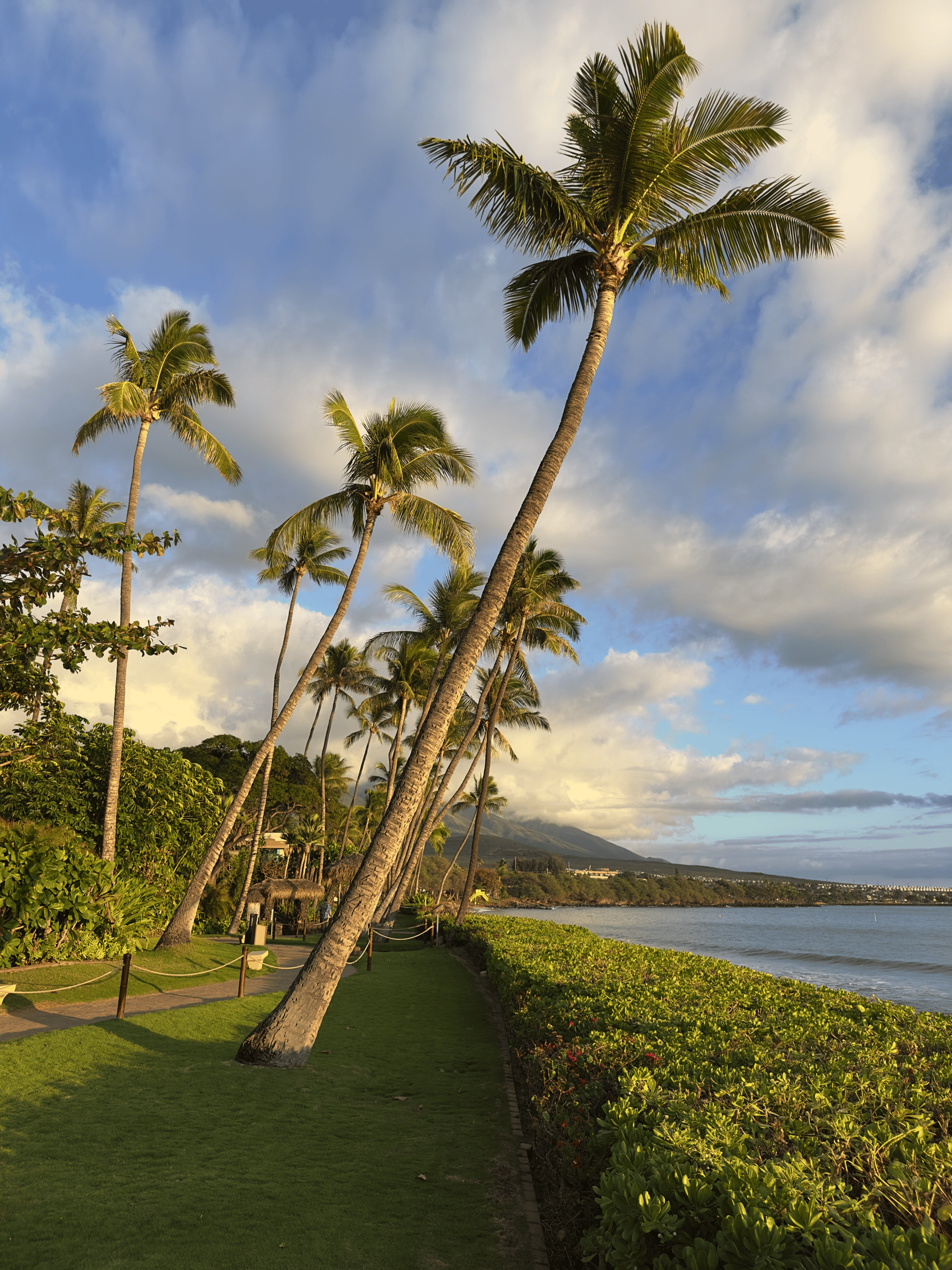 Best Points For Hyatt Hawaii Hotels