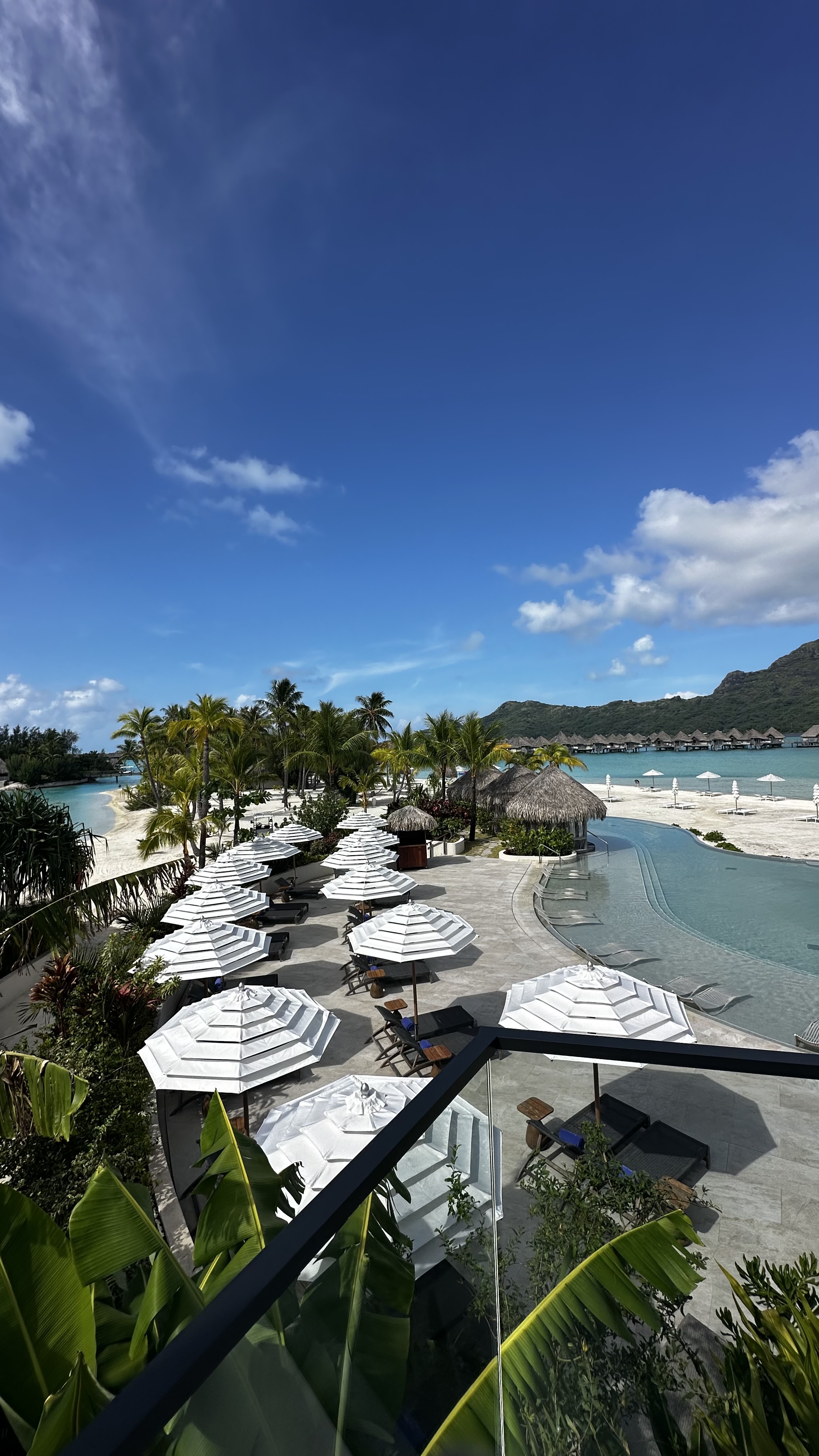 Elevated Marriott Card Offers