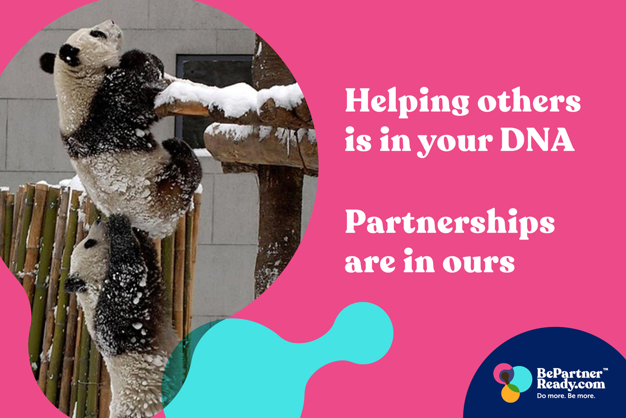 BePartnerReady Scholarship