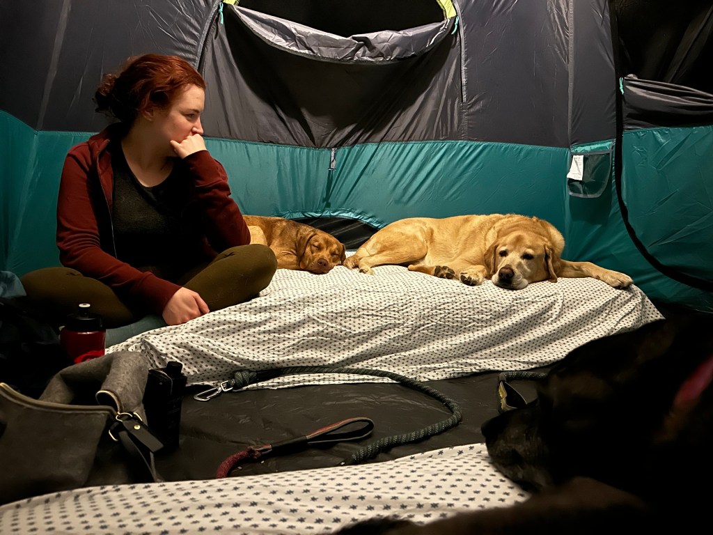 picture of Beth looking at two of our dogs, Buc and August, while our black lab, Carolina, looks on