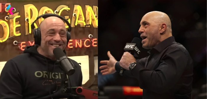 Joe rogan net worth 2025