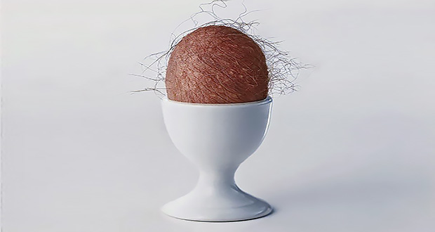 coglione