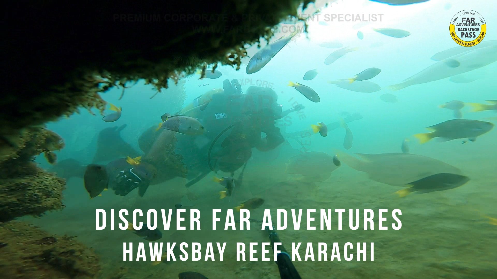 SCUBA DIVING HAWKSBAY FRENCH BEACH