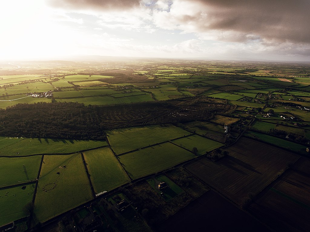 Read more about the article Human Landscapes