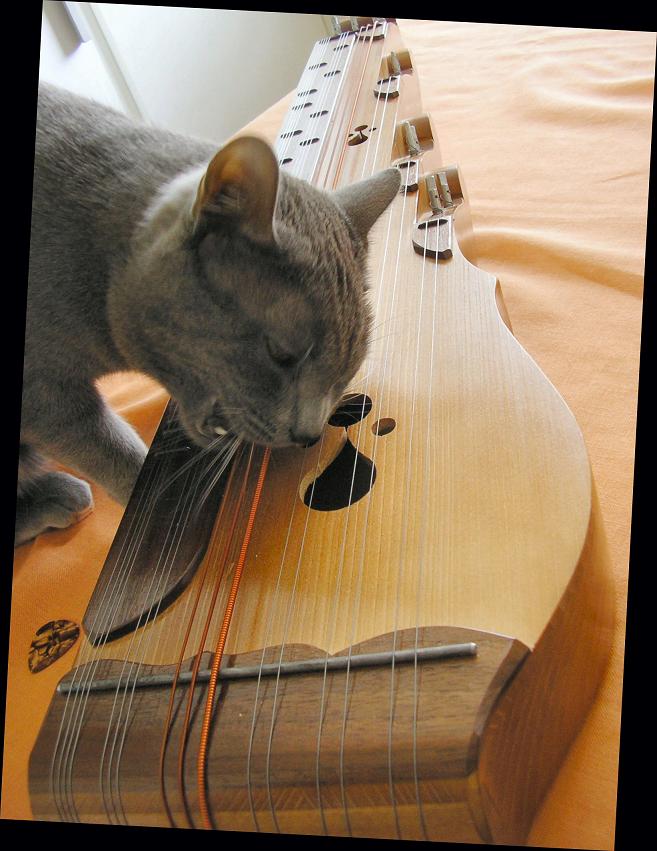 Musicat An Illustration to the MusiCat project | FARG Blog