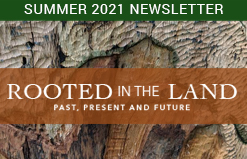 Summer 2021 Newsletter