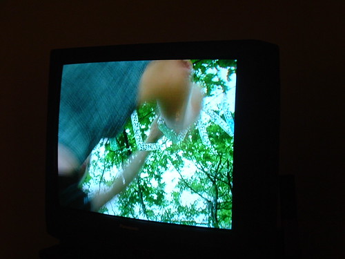 fotogramas del video Efimera Vulgata