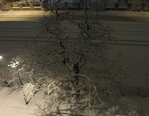 Zima porą wieczorową (II)