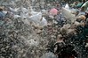 vancouver pillowfight 2007 - downy explosion