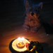Shuggie's Birthday Cake