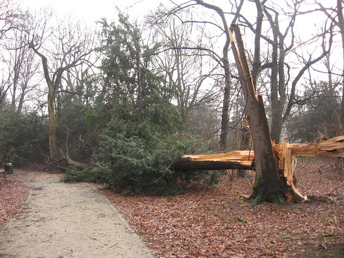 Miesiąc po burzy (II)