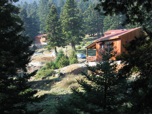 DASIKO XORIO PROSHLIO