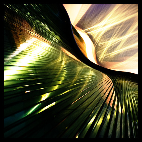 Reflective Distortion