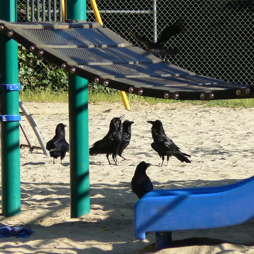 The Unkindness forms