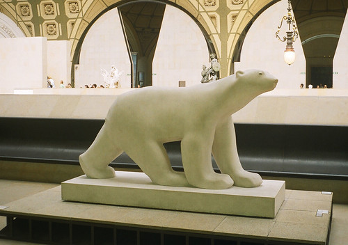 white bear