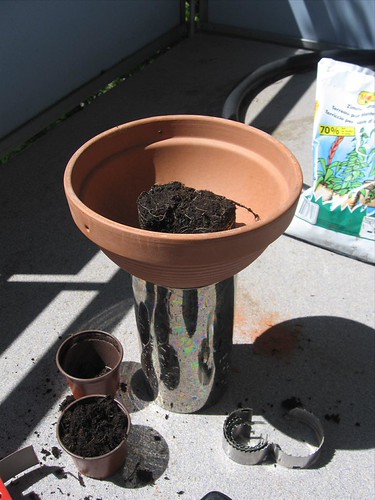 Mehr Grün!-Projekt No. 2 - UpsideDownTomatos