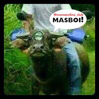 Apakah anda mencari gambar tentang gambar lucu gambar lawak? Motor Kerbau Kebo Masboi Lawak Kocak Humor Meme Facebook Twitter Google Line Tumblr Instagram Dagelan Bebodoran Gambarlucu Lucu A Photo On Flickriver