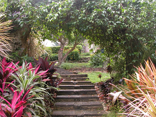 http://farm1.static.flickr.com/39/88634462_0592d8fbdc.jpg?v=0