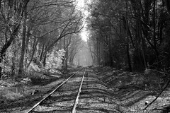 Decatur Railroad tracks BW by HamWithCam