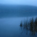 misty lake