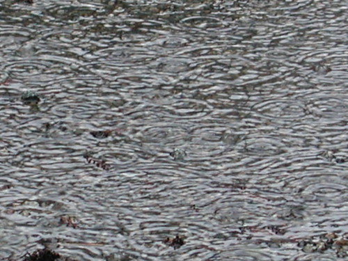 Rain in my driveway