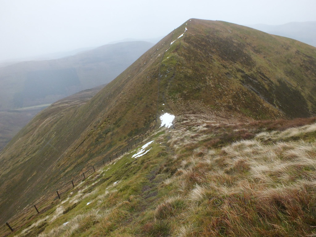 To a ring on the end of the choke strap of a neck yoke style pair harness. Walk Report - Herculian Hart Fell â¢ Walkhighlands