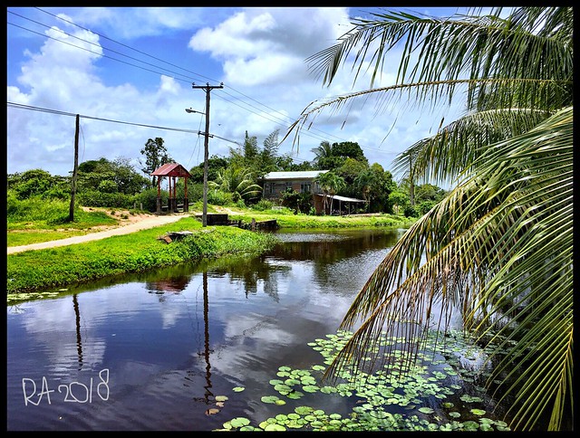 Rust En Werk Plantage Suriname Travel Guide Tips Reviews