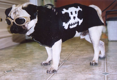 * I know, I already have one pirate coat here, but how on Earth could I resist this picture?!?!