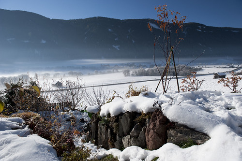 Mattino del mio compleanno. I doni.