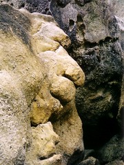 Abel Tasman NP - Te Puketia Bay