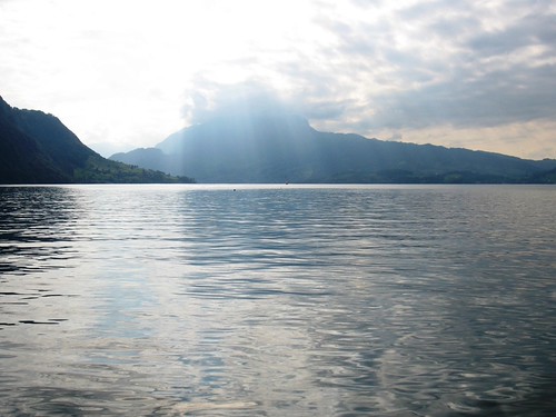 Ausflug Vierwaldstättersee Nauen Max Weggis Luzern Stansstad Küssnacht am Rigi