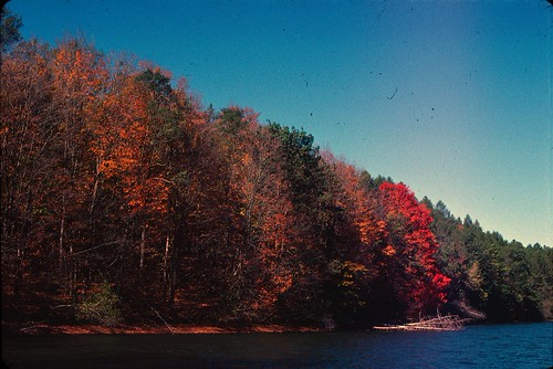 Kodachrome 2010 Fall Foliage
