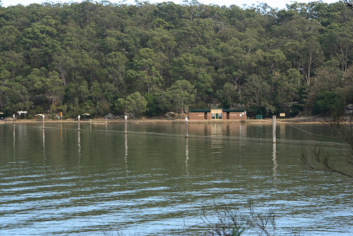 Late autumn in Oatley Park