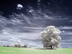 bar exam: Freedom of Information Act bar exam: Freedom of Information Act