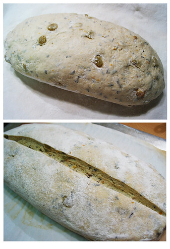 Start 2 End of 3-hour Proofing