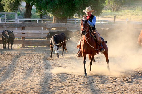 Photos | Californio Ranch Roping Club