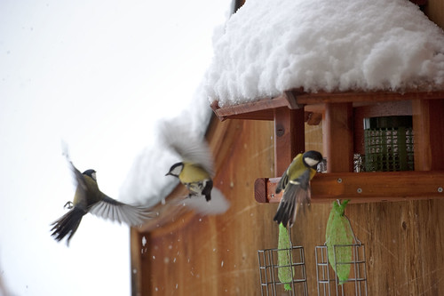 tra i due litiganti...