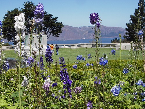 Flowers and the bay