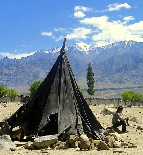 ladakhi nomads a boy from ladakhi nomads