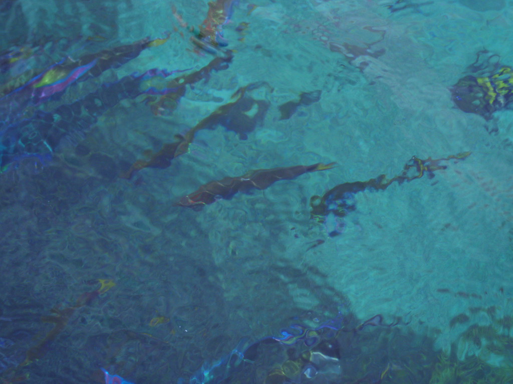Dapatkan Gambar Tidak Lagi Buta Warna Ikan Yang Hidup Di Laut Dalam Sudah Bisa Terkeren oleh Lampung Hits
