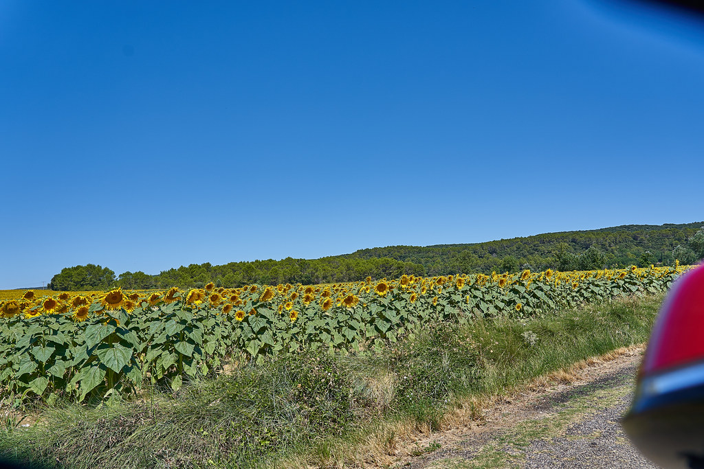 Villa Avril Chambre D Hotes Gay Avec Piscine Naturiste Saint Gervasy Gay Uzes Gard Gay Sejour