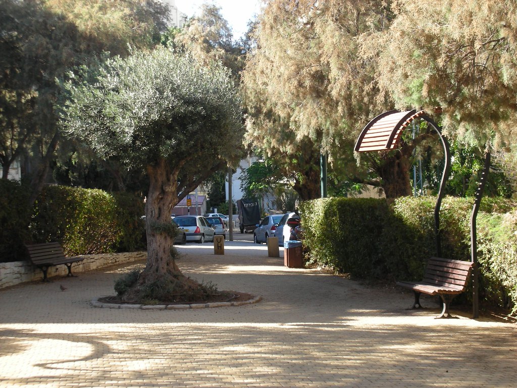 הגינה ברחוב חיסין