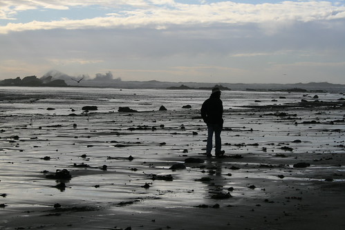 Walking on the Beach
