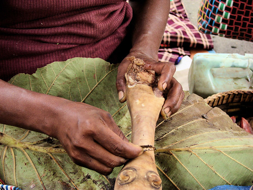 Afeitado de pata Afeitado de pata