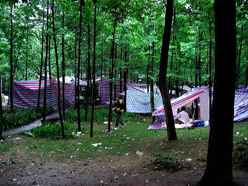 Tents and trees