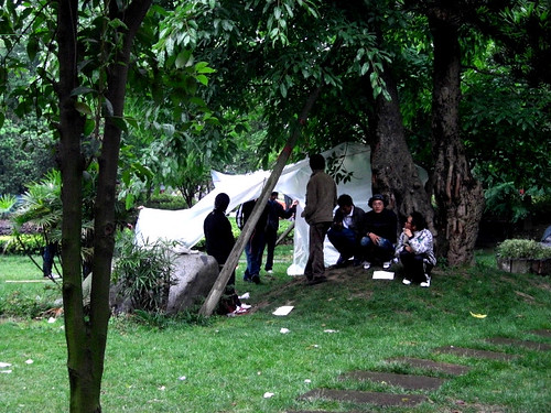 Students camping in the green