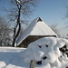 obojak in winter